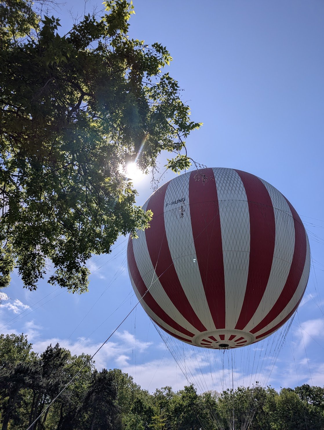 BalloonFly